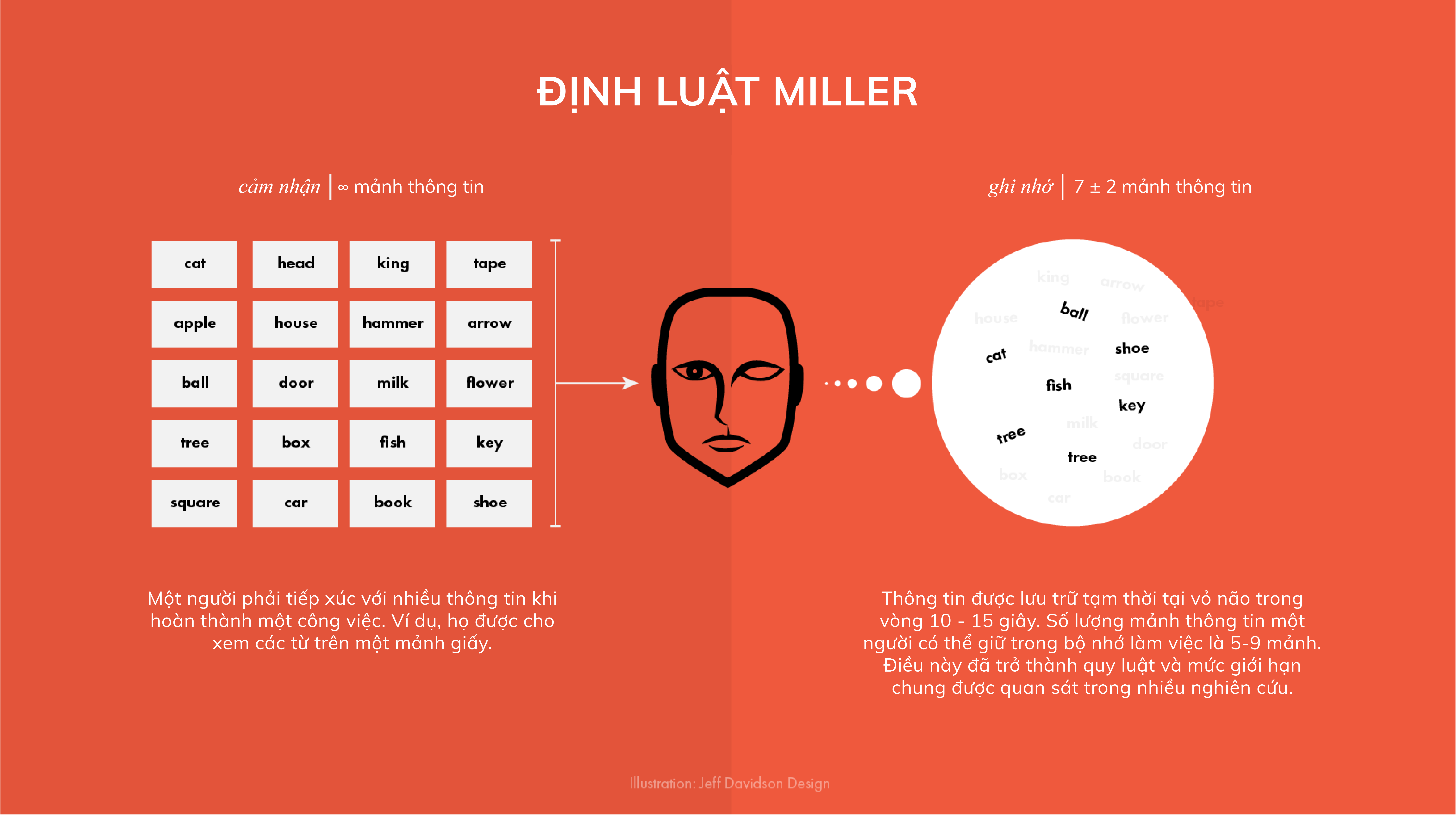 Miller's Law